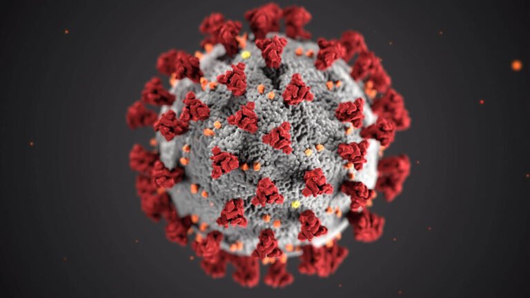 Illustration of a coronavirus particle